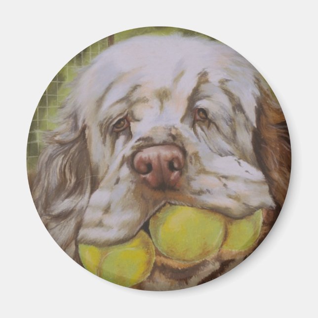 Clumber Spaniel Magnet (Vorne)