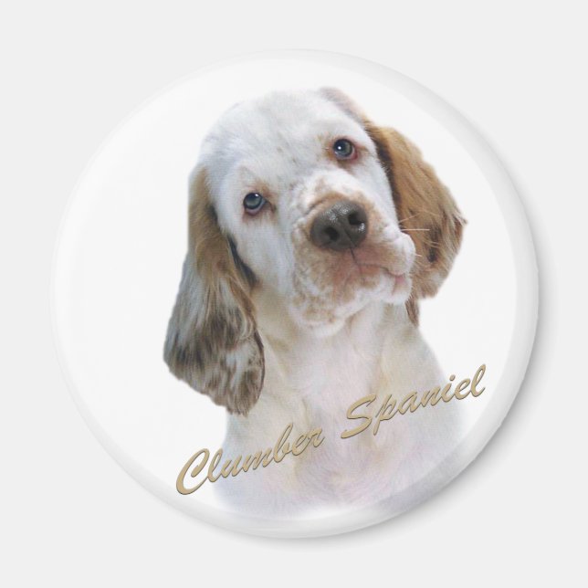 Clumber Spaniel Magnet (Vorne)