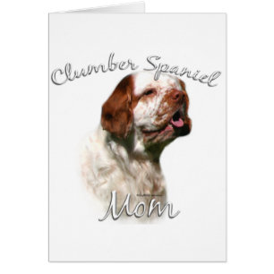 Clumber Spaniel Maman 2