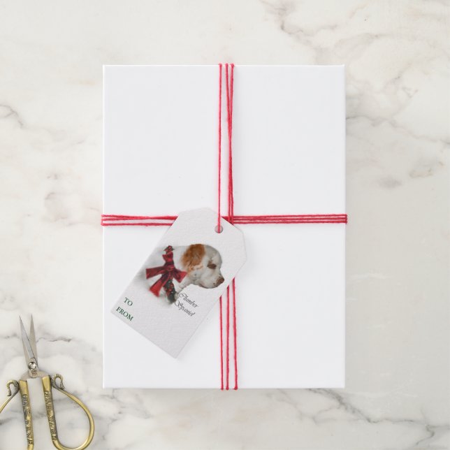 Clumber Spaniel Weihnachten Geschenkanhänger (Mit Garn)