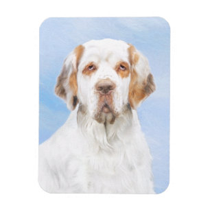 Clumber Spanischmalerei - Niedliche Original Dog A Magnet