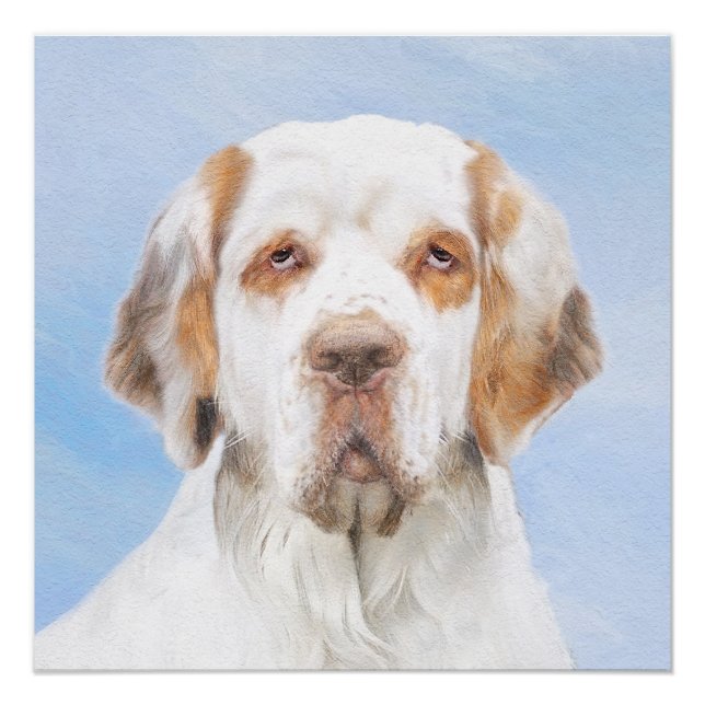 Clumber Spanischmalerei - Niedliche Original Dog A Poster (Vorderseite)