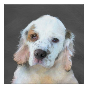 Clumber Spanischmalerei - Niedliche Original Dog A Poster