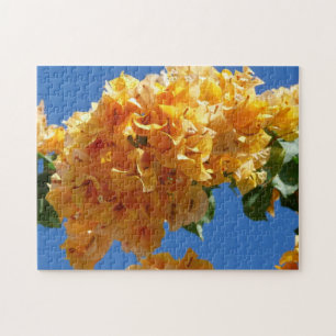 Cluster Golden Bougainvillea Floral