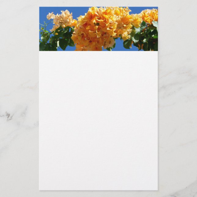 Cluster Golden Bougainvillea Floral Briefpapier (Vorderseite)
