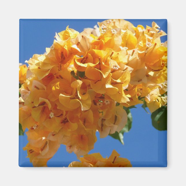 Cluster Golden Bougainvillea Floral Magnet (Vorne)