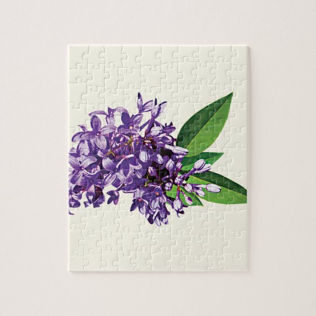 Cluster Lila Lilacs (Vertikal)