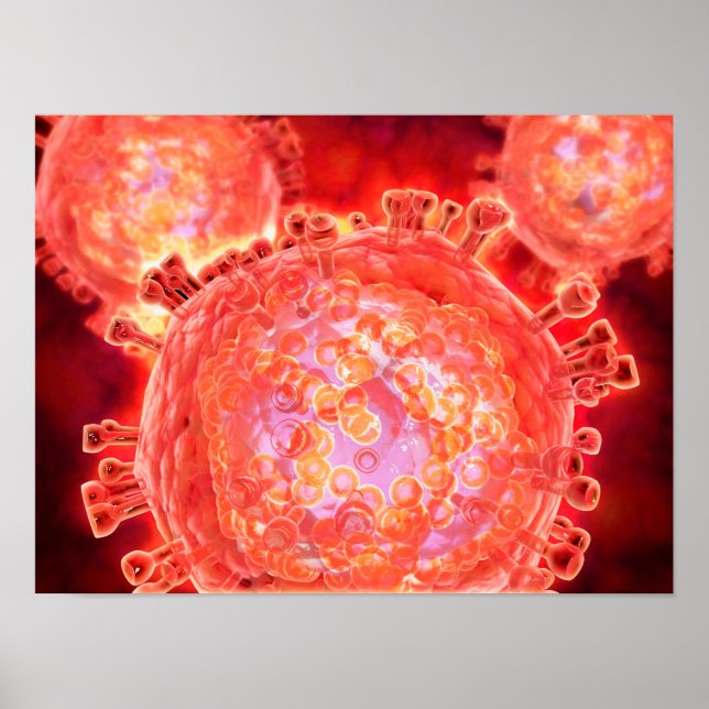 Cluster von HIV-Virus 1 Poster (Vorne)
