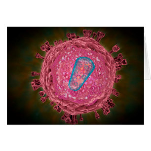 Cluster von HIV-Virus 2