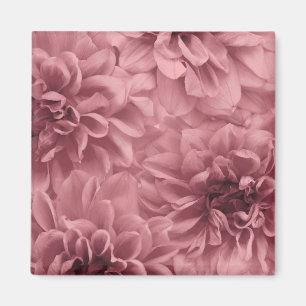 Cluster von Light Mauve Dahlia-Blume Magnet