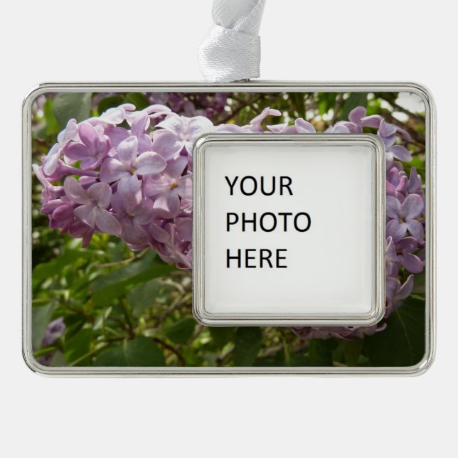 Cluster von Lilac Blossoms Frühlingsblumen Rahmen-Ornament Silber (Vorderseite)