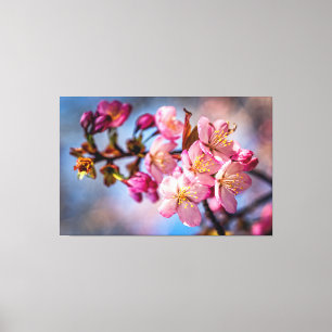 Cluster von Sakura-Kirschblüten im Wind Leinwanddruck