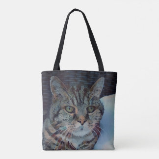 Clyde Tasche