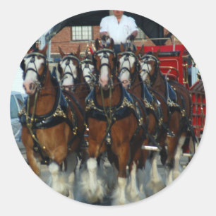 Clydesdale 6 runder aufkleber