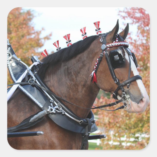 Clydesdale Aufkleber (Vorderseite)