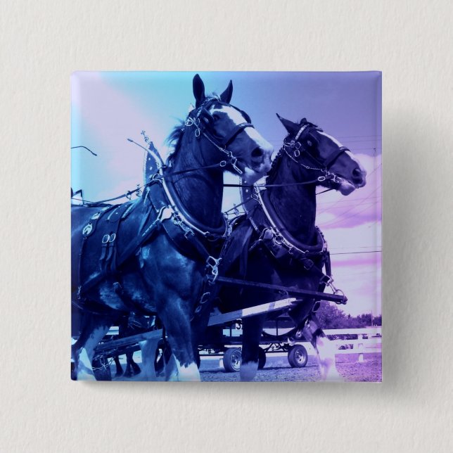 Clydesdale Button (Vorderseite)