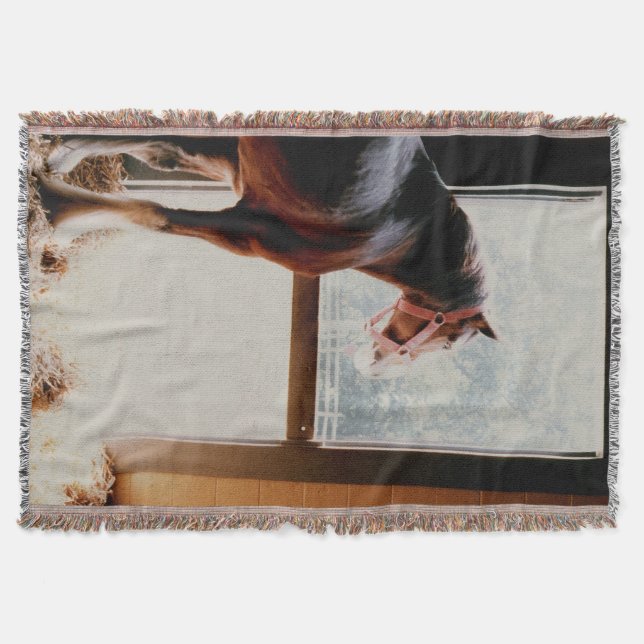 Clydesdale Decke (Vorderseite)