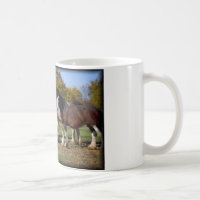 clydesdale Gruppe