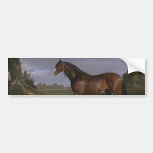 Clydesdale Hengst (Vollblutpferd) (Tier) Autoaufkleber