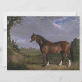 Clydesdale Hengst (Vollblutpferd) (Tier) Karte