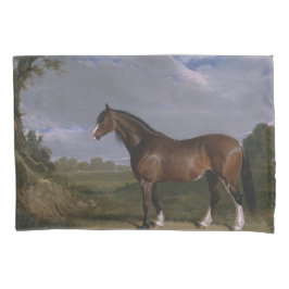 Clydesdale Hengst (Vollblutpferd) (Tier) Kissenbezug