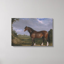 Clydesdale Hengst (Vollblutpferd) (Tier) Leinwanddruck