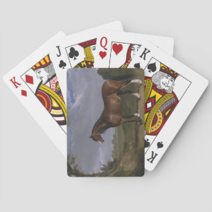 Clydesdale Hengst (Vollblutpferd) (Tier) Spielkarten