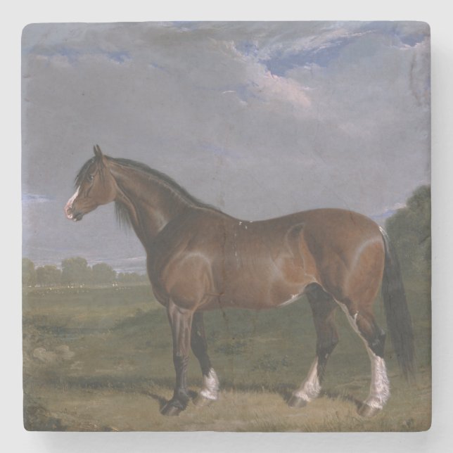 Clydesdale Hengst (Vollblutpferd) (Tier) Steinuntersetzer (Vorderseite)