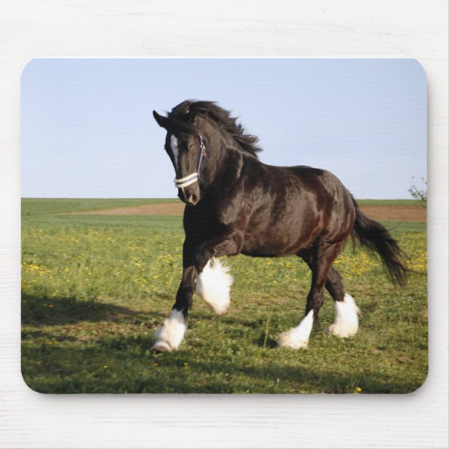 Clydesdale Horse Mousepad (Vorne)