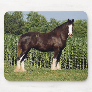 Clydesdale Mausunterlage Mousepad