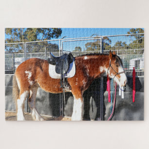 Clydesdale Pferd entspannen in der Nähe der Pferde