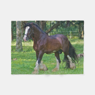 Clydesdale-Pferd Fleecedecke