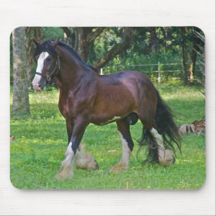 Clydesdale-Pferd Mousepad