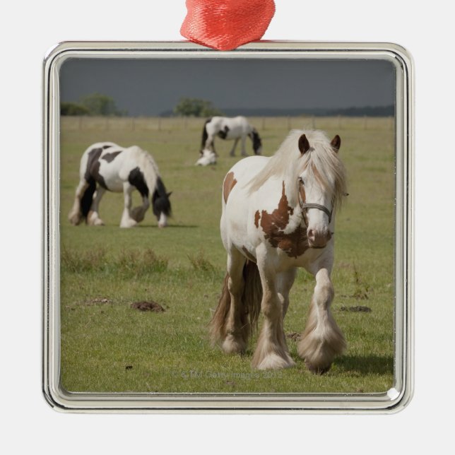 Clydesdale Pferde auf einem Gebiet, Ornament Aus Metall (Vorne)