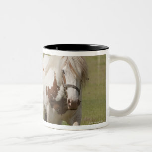Clydesdale Pferde auf einem Gebiet, Zweifarbige Tasse