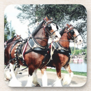 Clydesdale Pferde Getränkeuntersetzer