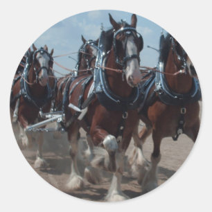 Clydesdale Pferde Runder Aufkleber
