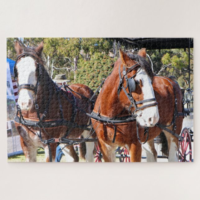 Clydesdale Pferde, um die Kutsche zu ziehen (Horizontal)