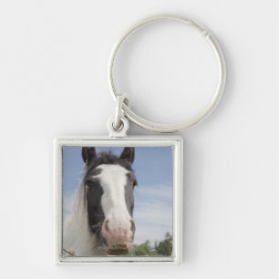 Clydesdale Pferdeporträt Schlüsselanhänger