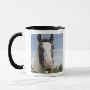 Clydesdale Pferdeporträt Tasse