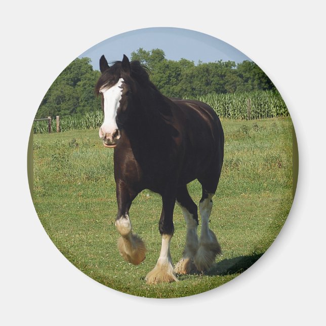 Clydesdale Running Magnet (Vorne)