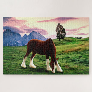 Clydesdale Sonnenuntergang