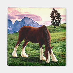 Clydesdale Sonnenuntergang Magnet