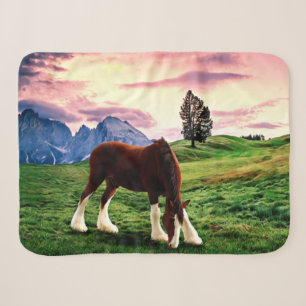 Clydesdale Sonnenuntergang Sherpadecke