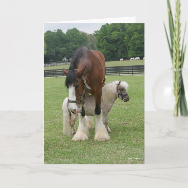 Clydesdale Stehend über Miniatur-Pony Karte (Vorderseite)