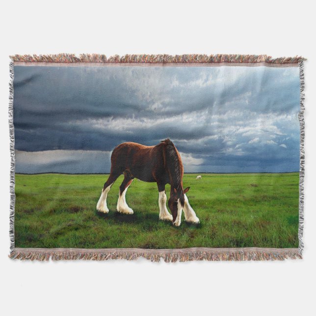 Clydesdale Storm Decke (Vorderseite)