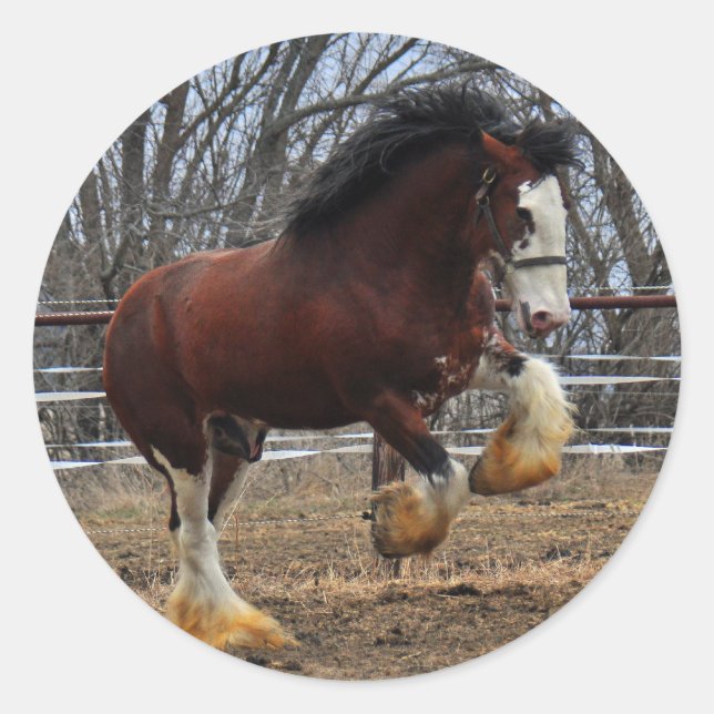 Clydesdale Stummkälte Runder Aufkleber (Vorderseite)