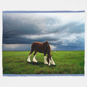 Clydesdale Sturm Fleecedecke