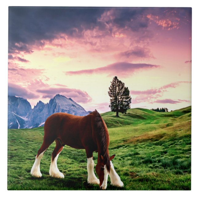 Clydesdale Sunset Fliese (Vorderseite)