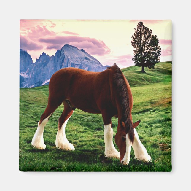 Clydesdale Sunset Magnet (Vorne)